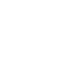 Fortuna Esports